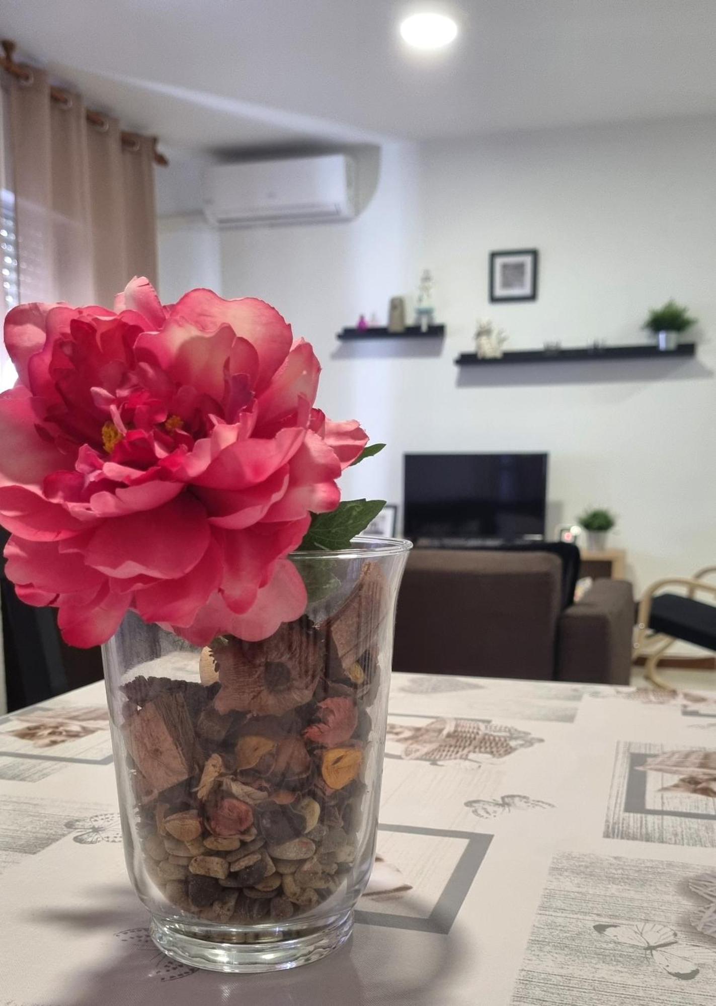 Apartamento Cayetano Rota Exteriér fotografie